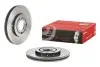 TARCZA HAMULCOWA PRZOD BREMBO (09701131) изображение 2