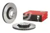 Tarcza ham. POLO 11/17- 2.0 BREMBO (09D76611) изображение 2