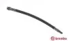 Тормозной шланг BREMBO (T56146) изображение 1