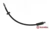 Гальмівний шланг BREMBO (T85056) зображення 1