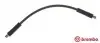 Тормозной шланг изогнутый BREMBO (T85102) изображение 1