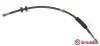 Шлангопровод BREMBO (T85145) изображение 1