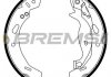 Тормозные накладки - (1550225, 1695033, 1737303) BREMSI GF0249 (фото 1)