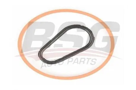 Прокладка вакуумного насоса Focus III/Fiesta VI/VII/Connect 1.5/1.6TDCI 08- (к-кт) BSG BSG 30-235-008 Купити в Україні