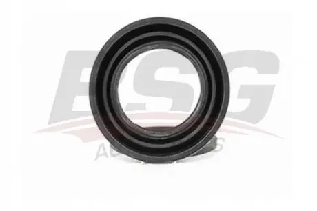 Направляюча супорта (переднього/заднього) MB Sprinter/VW LT/Ford Connect/VW T4/T5/Caddy III (990049) BSG BSG 30-251-014 Купити в Україні