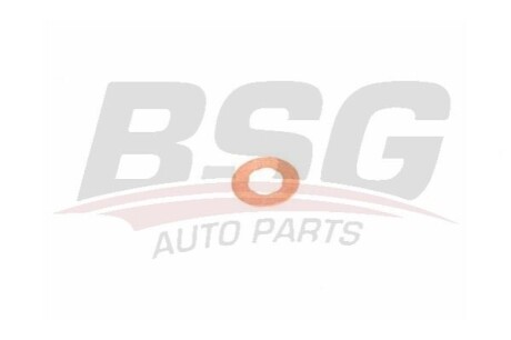 Шайба під форсунку Citroen/Fiat/Ford/Opel/Peugeot/Renault/VW (7.1x16x2) BSG BSG 30-995-048 (фото 1)