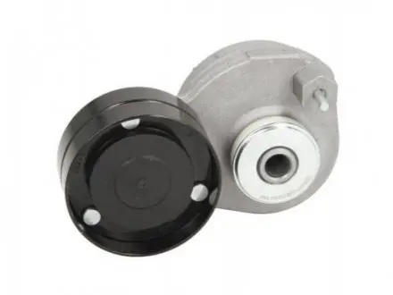Ролик натяжной BTA B0501039
