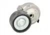 Натяжитель ремня BTA (B0501050) изображение 1
