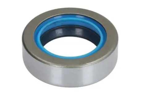 Сальник задньої вісі BTA B05AG172 Купити в Україні