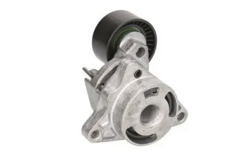 Натягувач ременя BTA E3R0003BTA Купити в Україні