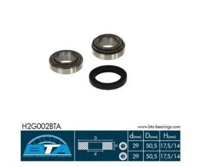 Підшипник маточини (задньої) Ford Escort 90-99/Mazda 121 96-03 (29x50x18) (к-кт) BTA H2G002BTA Купити в Україні