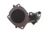 Помпа воды Ford Mondeo I/II 1.8TD 93-00 (R/B) (9 лоп)(без прокладки) BUGATTI (DSC_PA6005) изображение 4