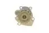 Фото Помпа води Skoda Fabia/VW Polo/Seat Cordoba 1.9SDI 09- (R/B)(7 лоп) BUGATTI (PA10049) зображення 5