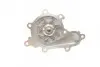 Фото Помпа води Nissan X-Trail/Almera/Primera 2.2dCi/Di 00- (R/B) (8 лоп) BUGATTI (PA10053) зображення 8
