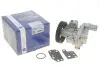 Помпа води Ford Transit VII/VIII 2.4DI/TDCi/TDE 00-14 (R/B) (8 лоп.) (7 кан.) (с корпусом) PA10095