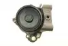 Фото Помпа води Citroen Jumper/Peugeot Boxer 3.0HDi/Fiat Ducato 2.3D/3.0D/Iveco 06- (R/B) (7 лоп) (6 кан) BUGATTI (PA10125) зображення 8