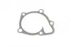 Фото Помпа води Jeep Compass/Mitsubishi Lancer VIII/Outlander/Peugeot 4007 1.8/2.0/2.4 08- (B/B)(6 лоп) BUGATTI (PA10149) зображення 8