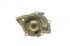 Фото Помпа води Citroen C4/C5/C8/Jumpy/Fiat Scudo/Peugeot 308/407/508/Ford Focus/Mondeo 2.0HDi/TDCi 09 BUGATTI (PA10170) зображення 4