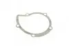 Фото Помпа води Citroen C4/C5/C8/Jumpy/Fiat Scudo/Peugeot 308/407/508/Ford Focus/Mondeo 2.0HDi/TDCi 09 BUGATTI (PA10170) зображення 6
