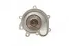 Фото Помпа води MB C-class (W203/W204)/E-class (W211/W212)/SLK-class (R171/R172) 1.8 (M271) 02-15 BUGATTI (PA10192) зображення 10
