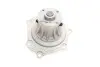 Фото Помпа води Nissan Trade/Urvan 2.5D/3.0D 96-06 BUGATTI (PA10305) зображення 9