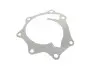 Фото Помпа води Nissan Trade/Urvan 2.5D/3.0D 96-06 BUGATTI (PA10305) зображення 10