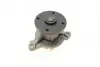 Фото Помпа води Hyundai i20/i30/Kia Ceed II/III/Rio IV 1.4/1.4 MPI 12 BUGATTI (PA10311) зображення 4