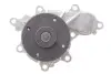 Фото Помпа води Nissan Pathfinder III/NP300 Navara 2.5dCi 05-/Renault Truck Maxity 07- (R/B) (8 лоп) BUGATTI (PA10317) зображення 6