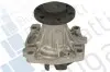 FORD Помпа воды GRANADA 2.5TD 96- BUGATTI (PA5014) изображение 1