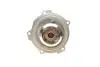 Фото Помпа води Audi A4/A6/Skoda Felicia/VW Caddy/Passat/Polo 1.9D/TDI/SDI 95-/Polo 1.7SDI 97-01 BUGATTI (PA5108) зображення 2