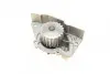 Фото Помпа води Citroen Xantia/Xsara/Peugeot 306/406 1.8i 16V 95-03 (20z) (B/B) (6 лоп) BUGATTI (PA5505) зображення 8