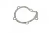 Фото Помпа води Citroen Xantia/Xsara/Peugeot 306/406 1.8i 16V 95-03 (20z) (B/B) (6 лоп) BUGATTI (PA5505) зображення 9