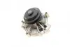 Фото Помпа води Citroen Jumper/Peugeot Boxer 2.5D/TD/TDI/4x4 96-02 (B/B) (8 лоп) BUGATTI (PA5508) зображення 7