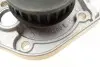Фото Помпа води Fiat Doblo 1.2 01-05/Panda/Punto 1.1/1.2 04- (24z) (B/B) (8 лоп.) BUGATTI (PA5942) зображення 5