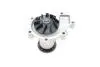 Фото Помпа води MB C-class (W202)/E-class (W124) 2.5D/3.0D 84-00 (OM603/605/606) BUGATTI (PA6819) зображення 3