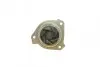 Фото Помпа води VW Golf IV/Jetta IV/Passat IV/V/Seat Toledo 2.3 V5 97-05 (R/B) (7 лоп) BUGATTI (PA8708) зображення 2