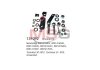Ремкомплект стартера (деталі стартера, заглушки, шайби) - CARGO 139292