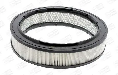 Фильтр воздушный CHAMPION CAF100102R Купить в Украине