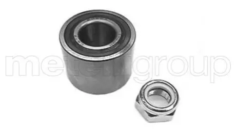 Підшипник маточини (задньої) Renault Kangoo 97-/Laguna 93-01/Nissan Kubistar 03- (25x55x43)(к-кт) CIFAM 619-2607