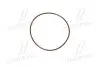 Уплотнительное кольцо трансмиссии Case Magnum 290/340/T8040-50 (87773328) 1,78х69,57 мм. CNH (1286081C1) изображение 2