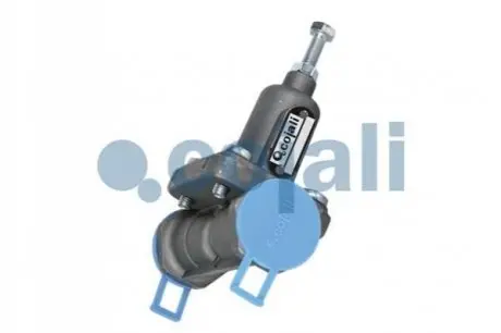 Прямогонний клапан IVECO EUROTECH MT 8460.41C.320 COJALI 2206167
