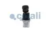 Клапан стоянкового гальма RVI MAGNUM COJALI (2224574) зображення 3