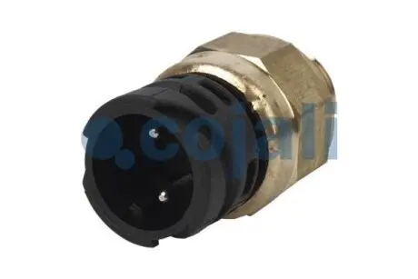 Вимикач світла RENAULT MASCOTT 01.99-06.05 COJALI 2260342