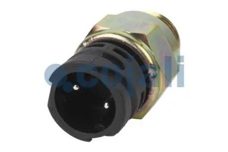 Перемикач MERCEDES ATEGO MERCEDES ACTROS, ACTROS MP2 / MP3, ATEGO, ATEGO 2, ATEGO 3, AXOR, AXOR 2, CITARO (O 530), CONECTO (O 345), ECONIC, INTEGRO (O 550), INTOURO, LK/LN2, O 403, OH 01.70 COJALI 2260362