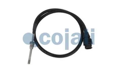 Датчик температури вихлопних газів RVI KERAX, MAGNUM, MIDLUM, PREMIUM 2 VOLVO FH, FL II, FMX 01.00 COJALI 2260782 Купити в Україні