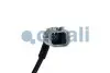 Фото Датчик температури вихлопних газів (після каталізатора, 2PIN) MAN LION S INTERCITY, LION´S CITY, LION´S CLASSIC, LION´S COACH, LION´S COMFORT, LION´S REGIO, LION´S STAR, TGA, TGL I, TGL II 01.93 COJALI (2260895) зображення 2