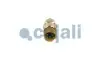 Датчик тиску палива MAN TGL I, TGM I, TGS I, TGX I D0834LFL40-D2676LF57 04.05-03.22 COJALI (2260987) зображення 2