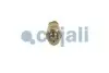 Датчик тиску палива MAN TGL I, TGM I, TGS I, TGX I D0834LFL40-D2676LF57 04.05-03.22 COJALI (2260987) зображення 3