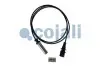 Датчик ABS задн Лів (прямий, 1450мм, 2pin) COJALI (2261192) зображення 1