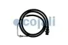 Фото Датчик температури вихлопних газів COJALI (2262003) зображення 1